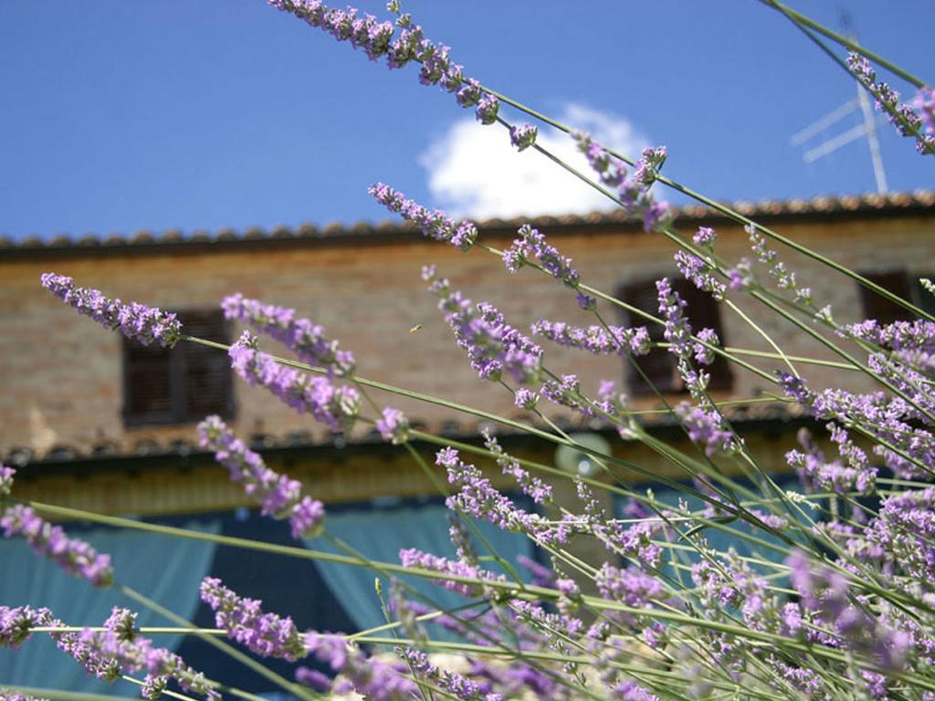 Villarondanella แฟร์โม ภายนอก รูปภาพ